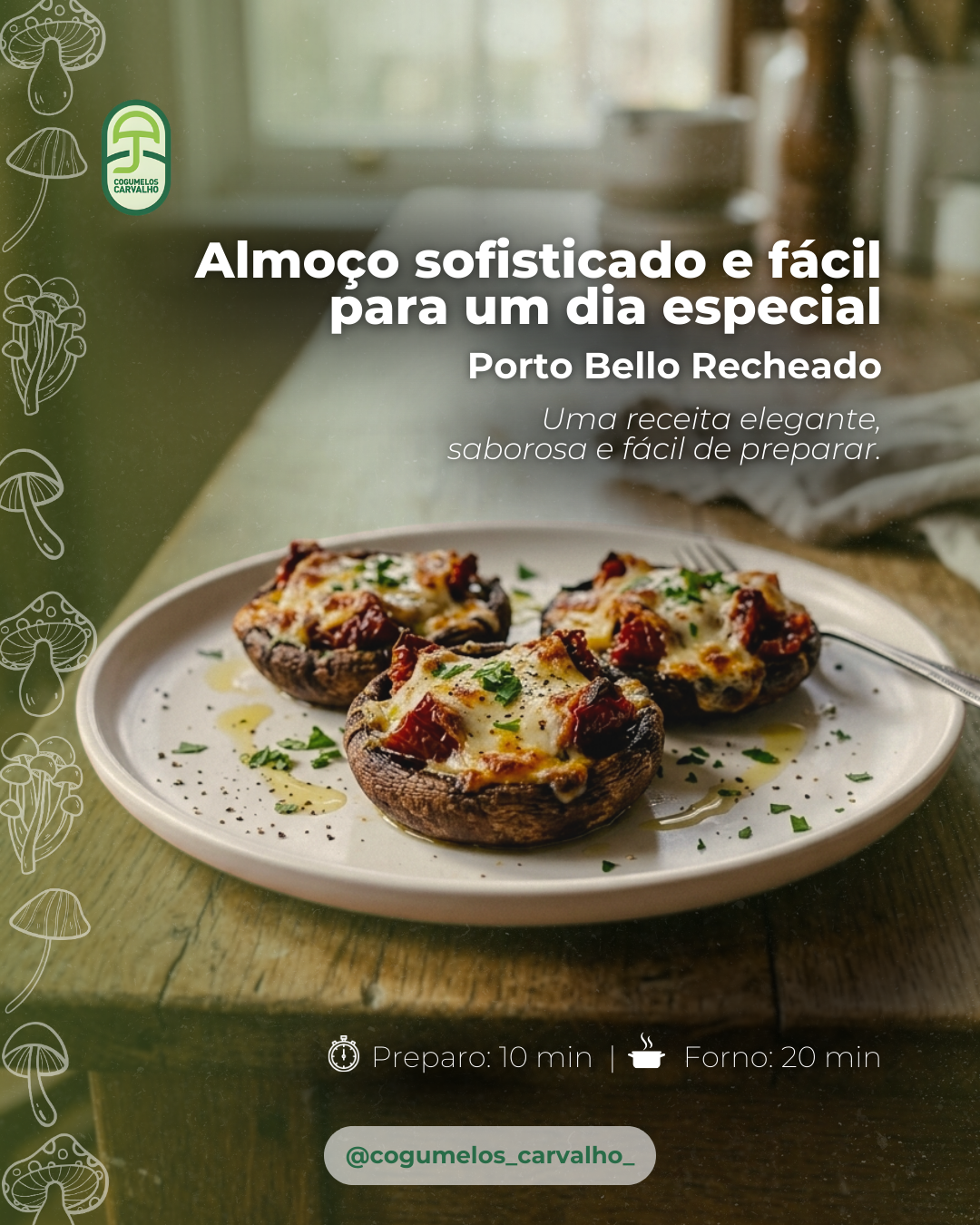 FEED MARÇO 4COGUMELOS (1)